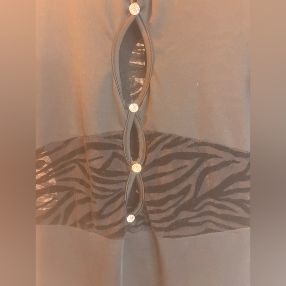 Sexy Black Zebra Sheer Sleeve Dress - Picture 6 of 9